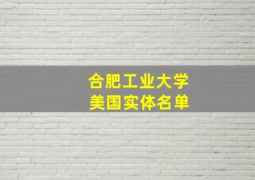 合肥工业大学 美国实体名单